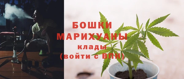 ALPHA PVP Семёнов