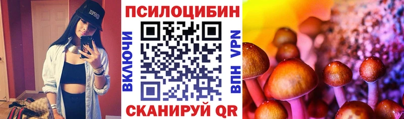 Галлюциногенные грибы Psilocybe Рязань